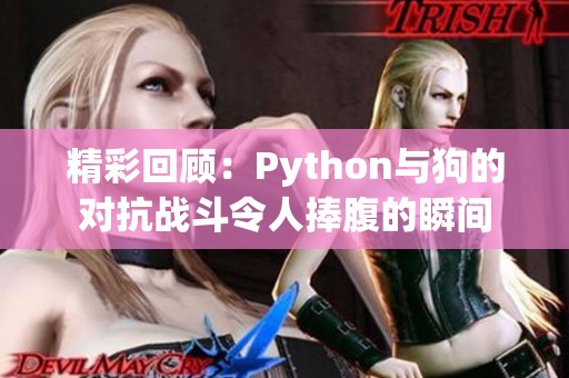 精彩回顧：Python與狗的對(duì)抗戰(zhàn)斗令人捧腹的瞬間