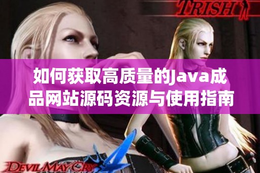 如何獲取高質(zhì)量的Java成品網(wǎng)站源碼資源與使用指南