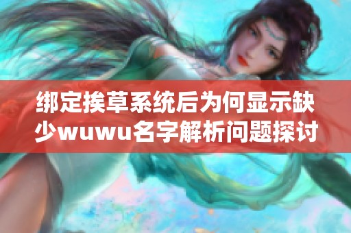 綁定挨草系統(tǒng)后為何顯示缺少wuwu名字解析問題探討