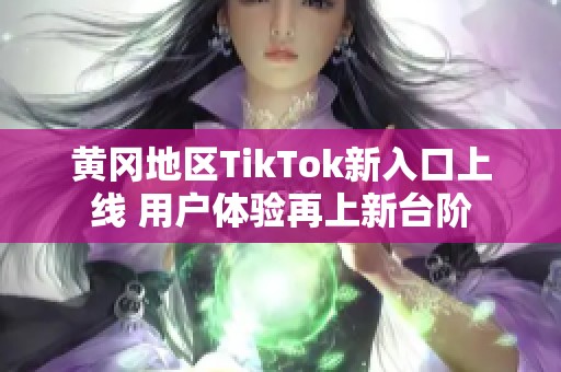 黃岡地區(qū)TikTok新入口上線 用戶體驗(yàn)再上新臺階