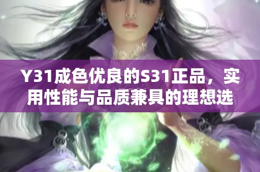 Y31成色優(yōu)良的S31正品，實用性能與品質(zhì)兼具的理想選擇