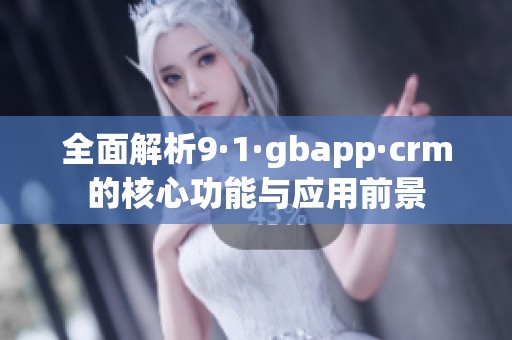 全面解析9·1·gbapp·crm的核心功能與應(yīng)用前景