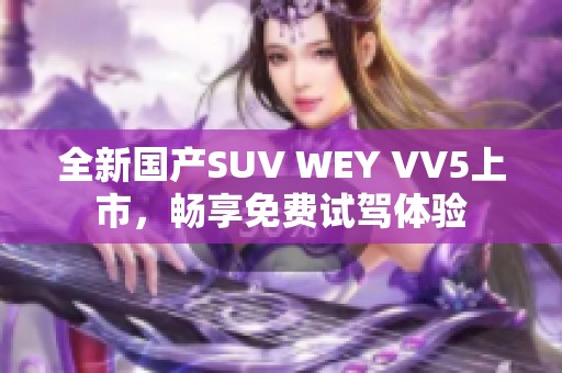 全新國產(chǎn)SUV WEY VV5上市，暢享免費試駕體驗