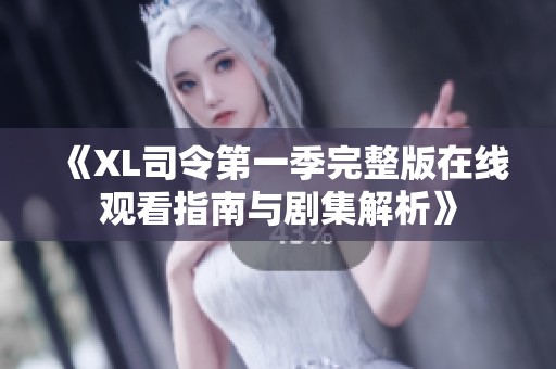 《XL司令第一季完整版在線觀看指南與劇集解析》