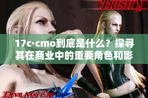 17c·cmo到底是什么？探尋其在商業(yè)中的重要角色和影響