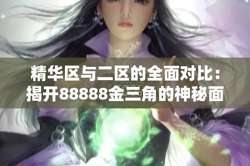 精華區(qū)與二區(qū)的全面對比：揭開88888金三角的神秘面紗