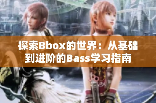 探索Bbox的世界：從基礎(chǔ)到進(jìn)階的Bass學(xué)習(xí)指南